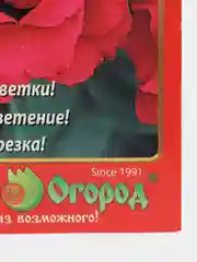 Эустома Мэйдж ред, семена, цветы