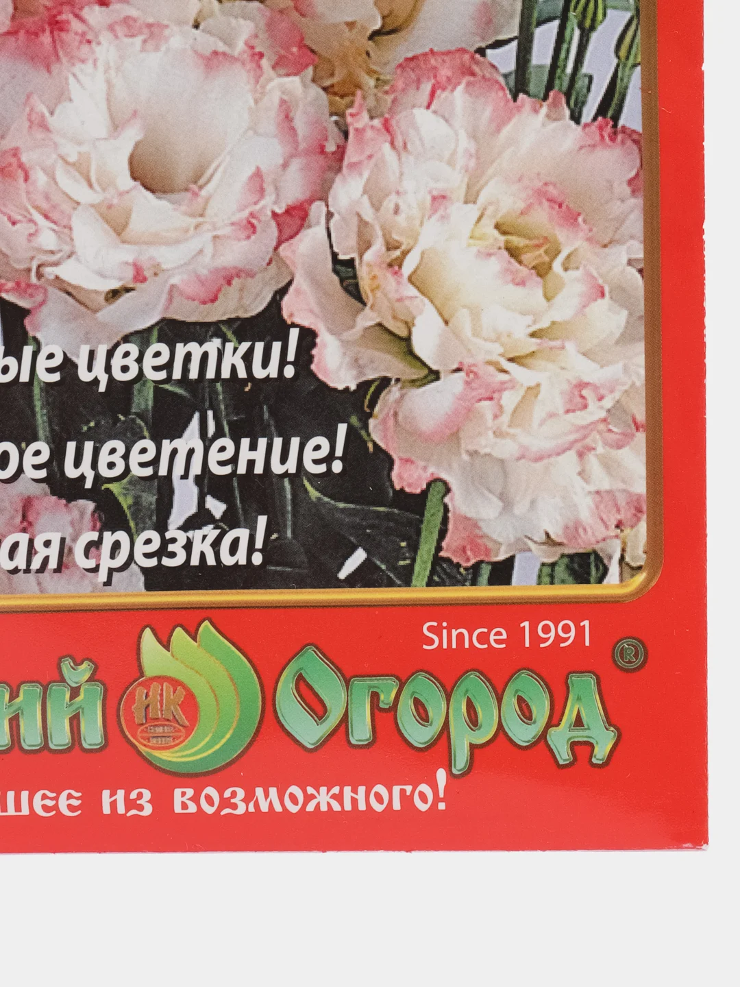 Эустома "Мэйдж Роуз Рим" (семена, цветы)