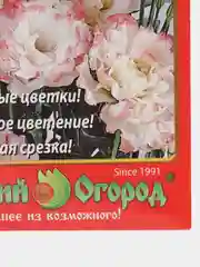 Эустома "Мэйдж Роуз Рим" (семена, цветы)