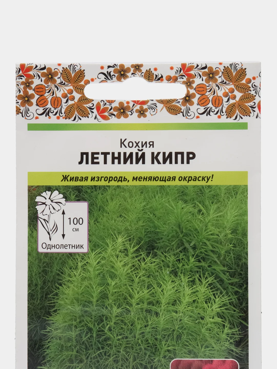 Кохия Летний кипр (семена,цветы)