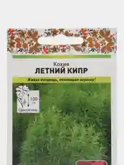 Кохия Летний кипр (семена,цветы)