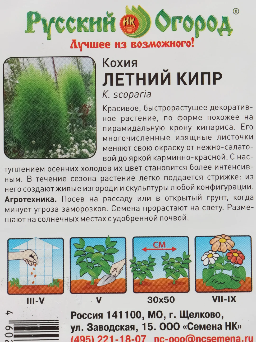 Кохия Летний кипр (семена,цветы)