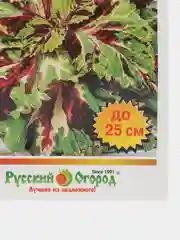Колеус "Русский размер", семена, цветы