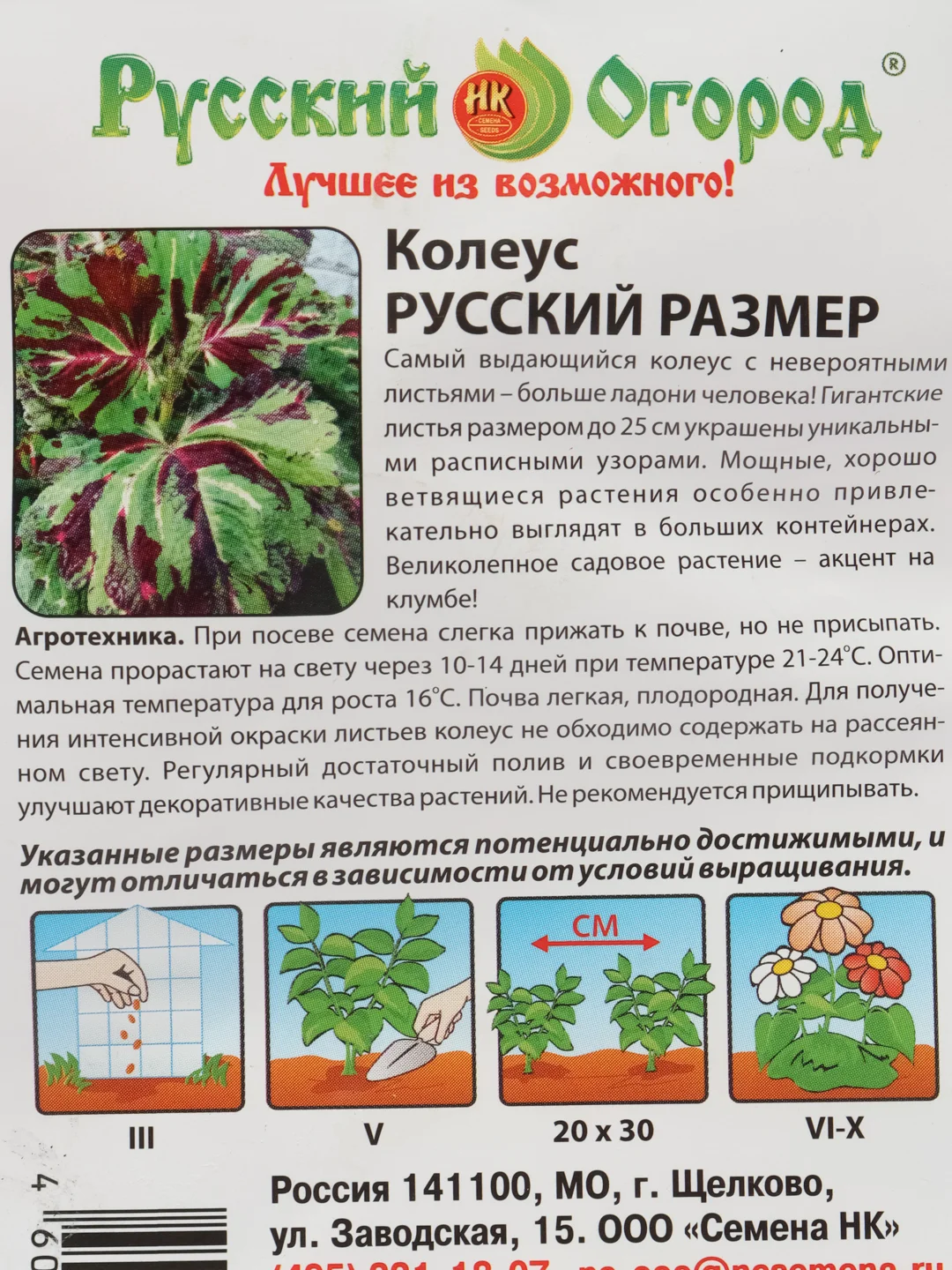 Колеус "Русский размер", семена, цветы