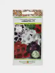 Глоксиния Аванти смесь, семена, цветы