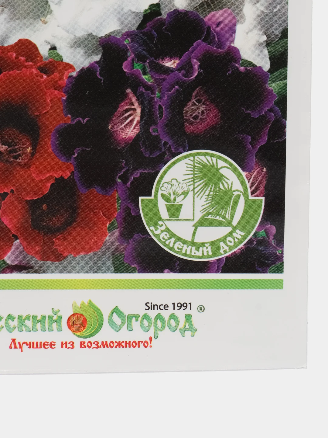 Глоксиния Аванти смесь, семена, цветы