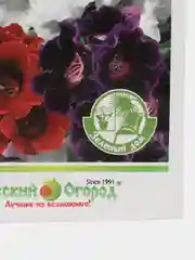 Глоксиния Аванти смесь, семена, цветы