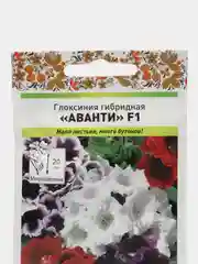 Глоксиния Аванти смесь, семена, цветы