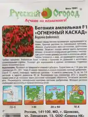 Бегония Огненный каскад, семена, цветы