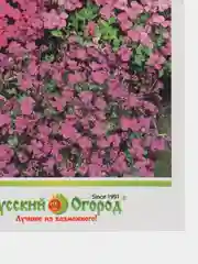 Аубреция смесь, семена, цветы