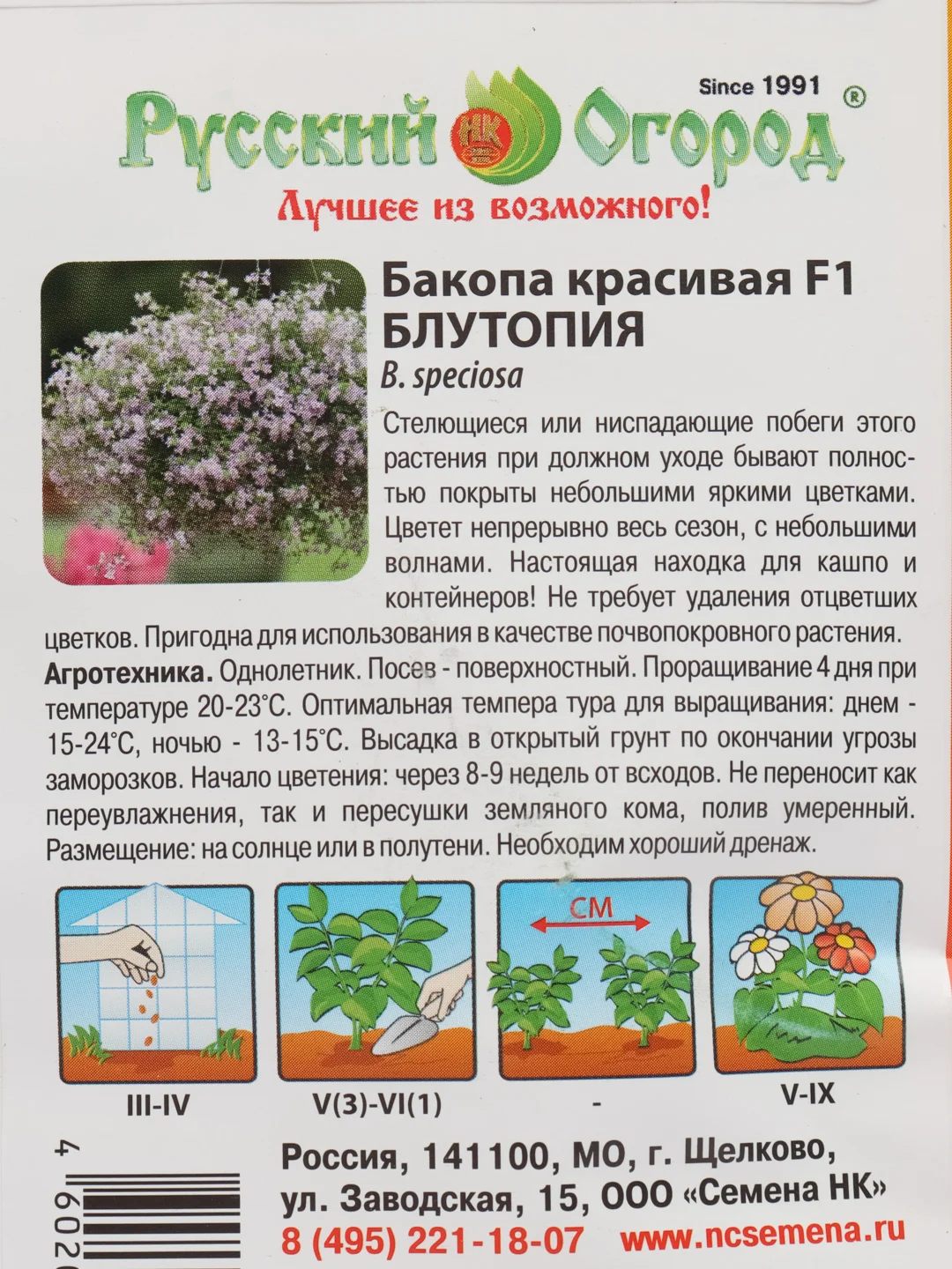 Бакопа Блутопия, семена, цветы