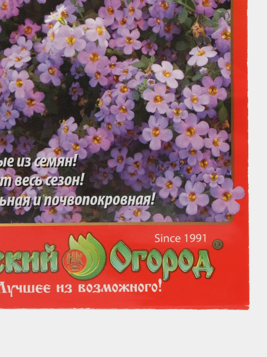 Бакопа Блутопия, семена, цветы