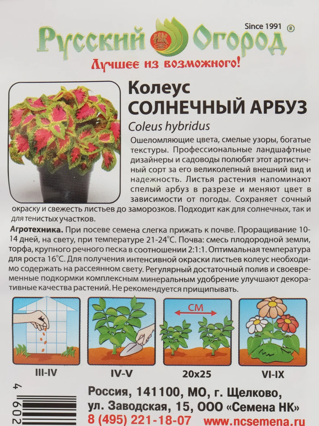 Колеус "Солнечный арбуз", семена, цветы