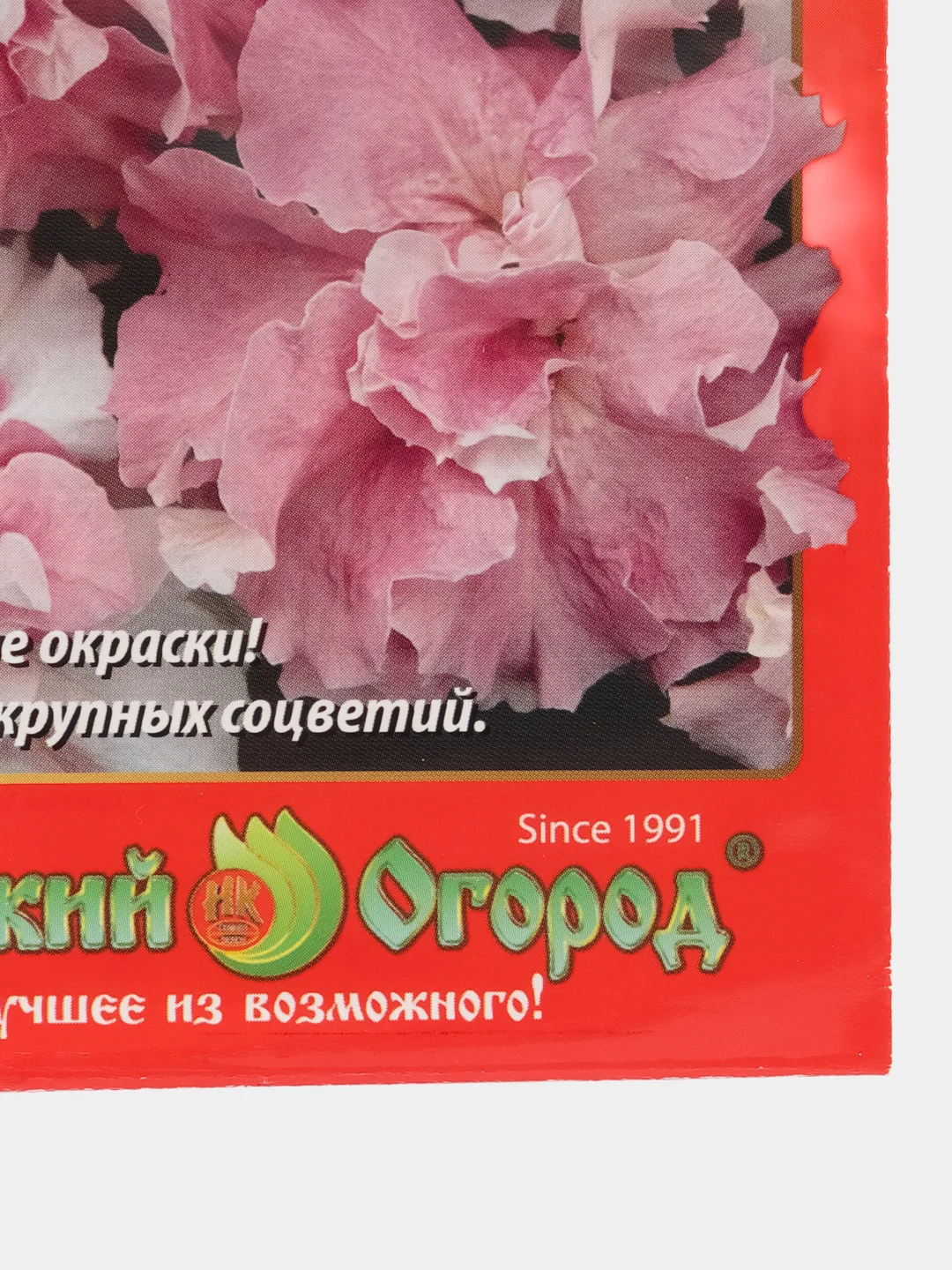 Петуния Дабл каскад орхид мист, семена, цветы