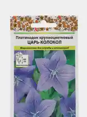 Платикодон "Царь колокол", семена, цветы