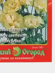 Эустома" Мэйдж Йеллоу" (семена, цветы)
