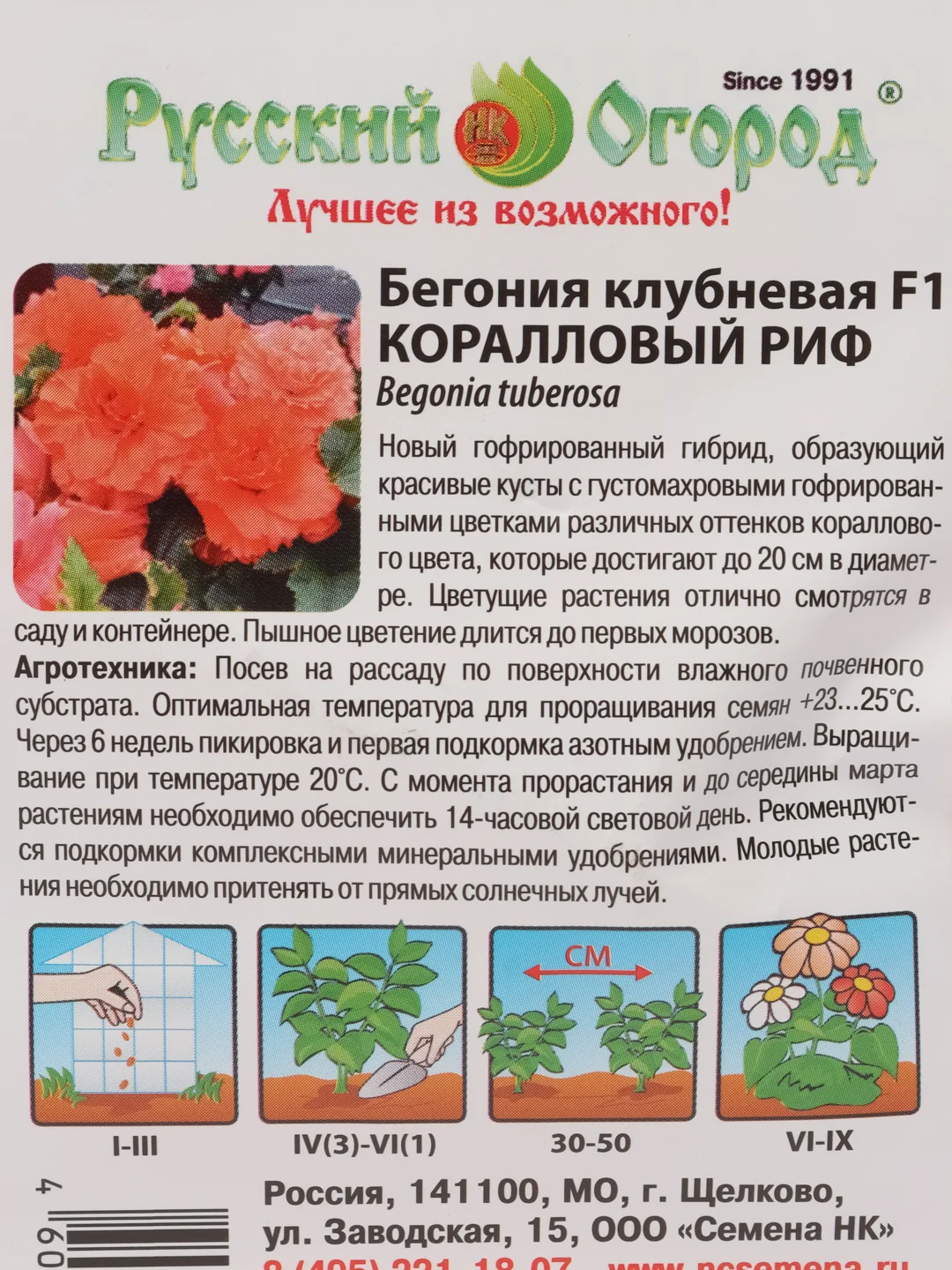 Бегония клубневая Коралловый риф, семена, цветы