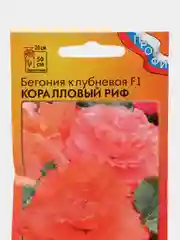 Бегония клубневая Коралловый риф, семена, цветы