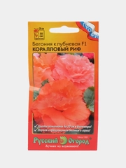 Бегония клубневая Коралловый риф, семена, цветы