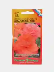 Бегония клубневая Коралловый риф, семена, цветы