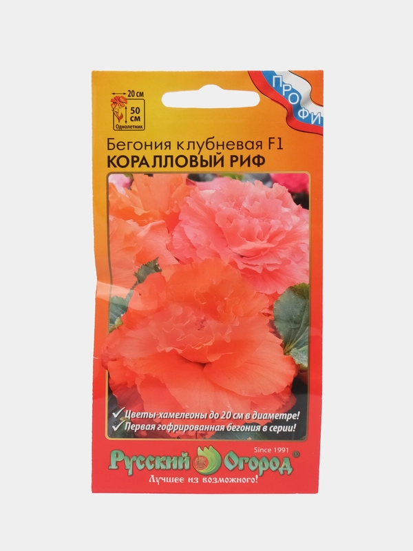 Бегония клубневая Коралловый риф, семена, цветы