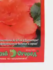 Бегония клубневая Коралловый риф, семена, цветы