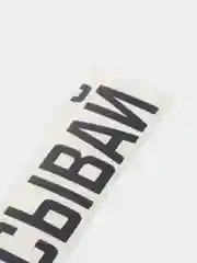 Черный наклейка на авто "Выписывай"