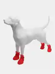 Красный обувь для собак
