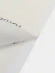 Клеевая ловушка для крыс и мышей, мышеловка