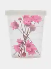 Розовый сухоцветы мелкие в контейнере
