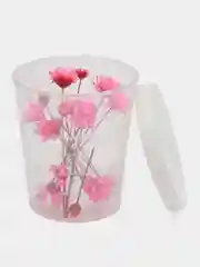 Розовый сухоцветы мелкие в контейнере