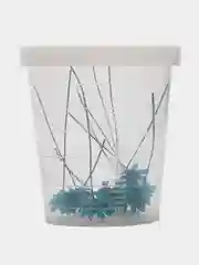 Голубой сухоцветы мелкие в контейнере