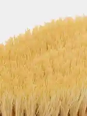 Белый массажная щетка для сухого массажа