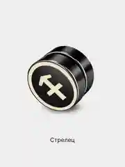 Угольный серьги-клипсы "Знаки Зодиака", из титановой стали, на магните