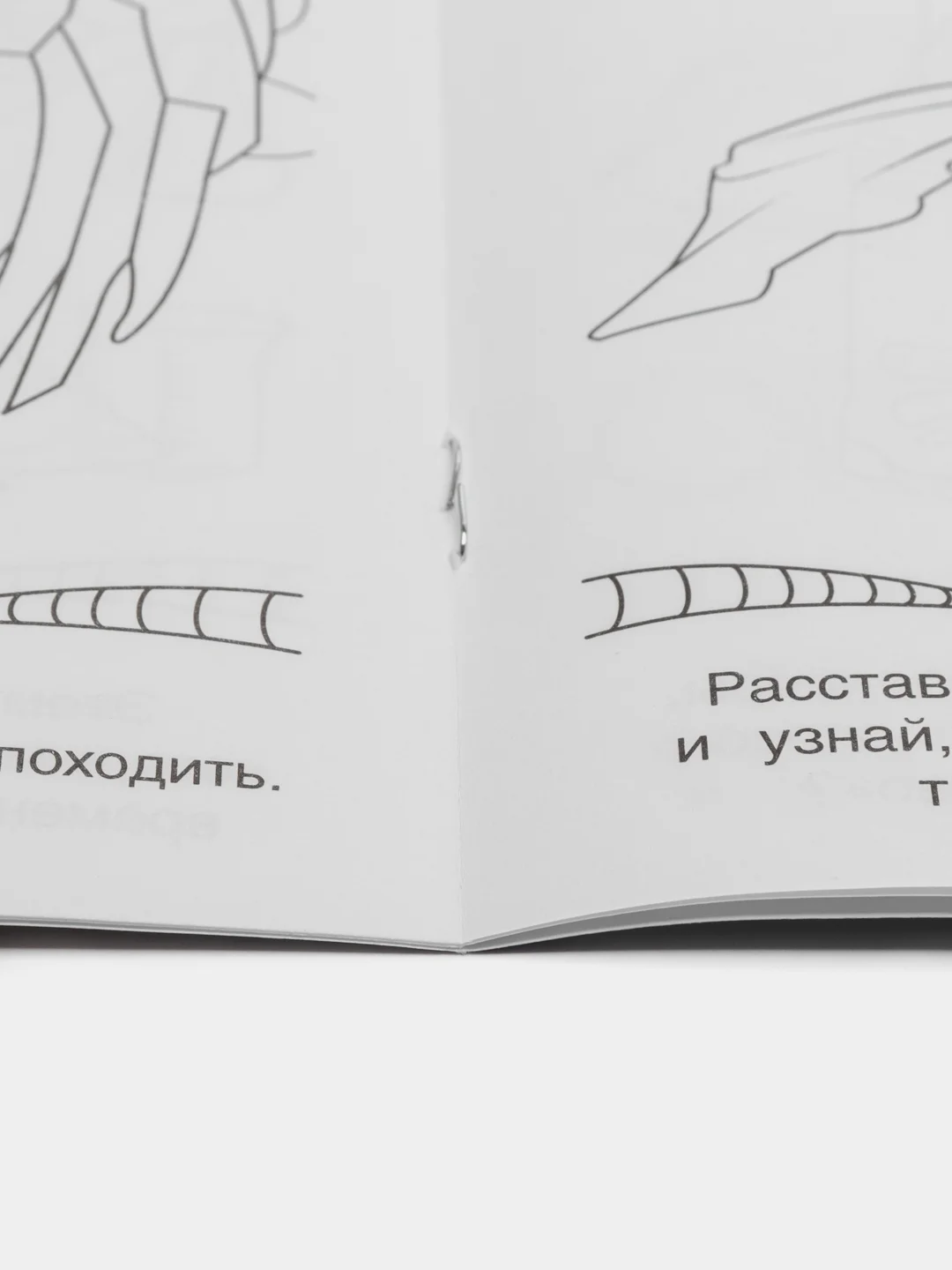 Хром раскраска, 16 заданий, по мотивам Гравити Фолз, Марвел, Куроми, Капибара