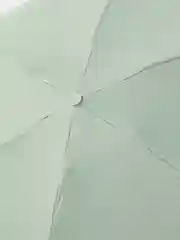 Мятный зонт в футляре, карманный, мини зонт