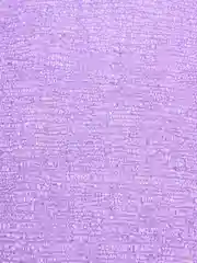 Фиолетовый мочалка для тела массажная жёсткая, 4 цвета