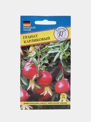 Гранат карликовый, семена, цветы