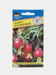 Гранат карликовый, семена, цветы