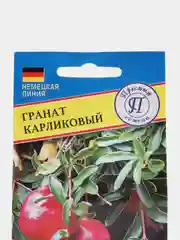Гранат карликовый, семена, цветы