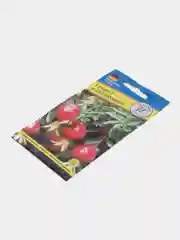 Гранат карликовый, семена, цветы