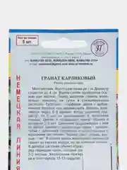 Гранат карликовый, семена, цветы