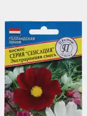 Космея космос "Сенсация", семена, цветы