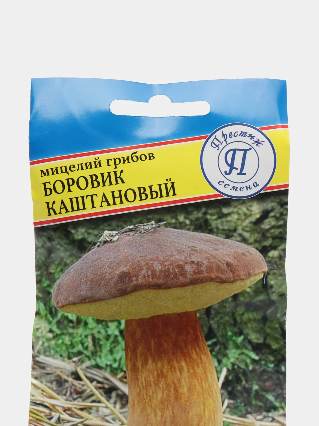 Боровик каштановый, семена, грибы