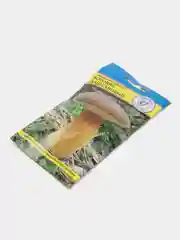 Боровик каштановый, семена, грибы