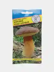 Боровик каштановый, семена, грибы