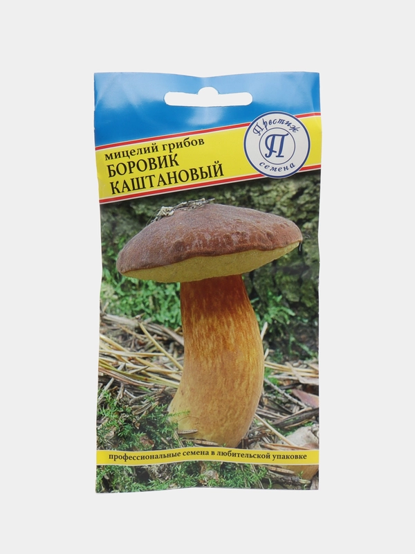 Боровик каштановый, семена, грибы