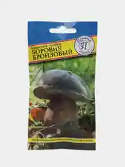 Боровик бронзовый, семена, грибы