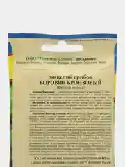Боровик бронзовый, семена, грибы
