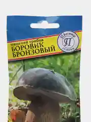 Боровик бронзовый, семена, грибы
